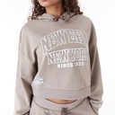 new-era-new-era-arch-wordmark-crop-hoodie-braun-xs-0