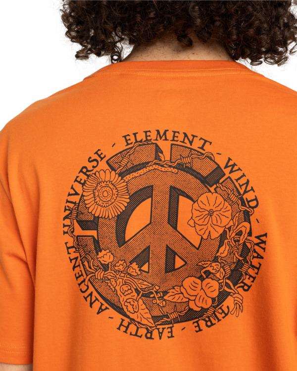 element-ancient-universe-ss-orange-coral-gold-s-3