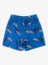 quiksilver-next-gen-volley-boy-12-blue-estate-blue-roots-3-0