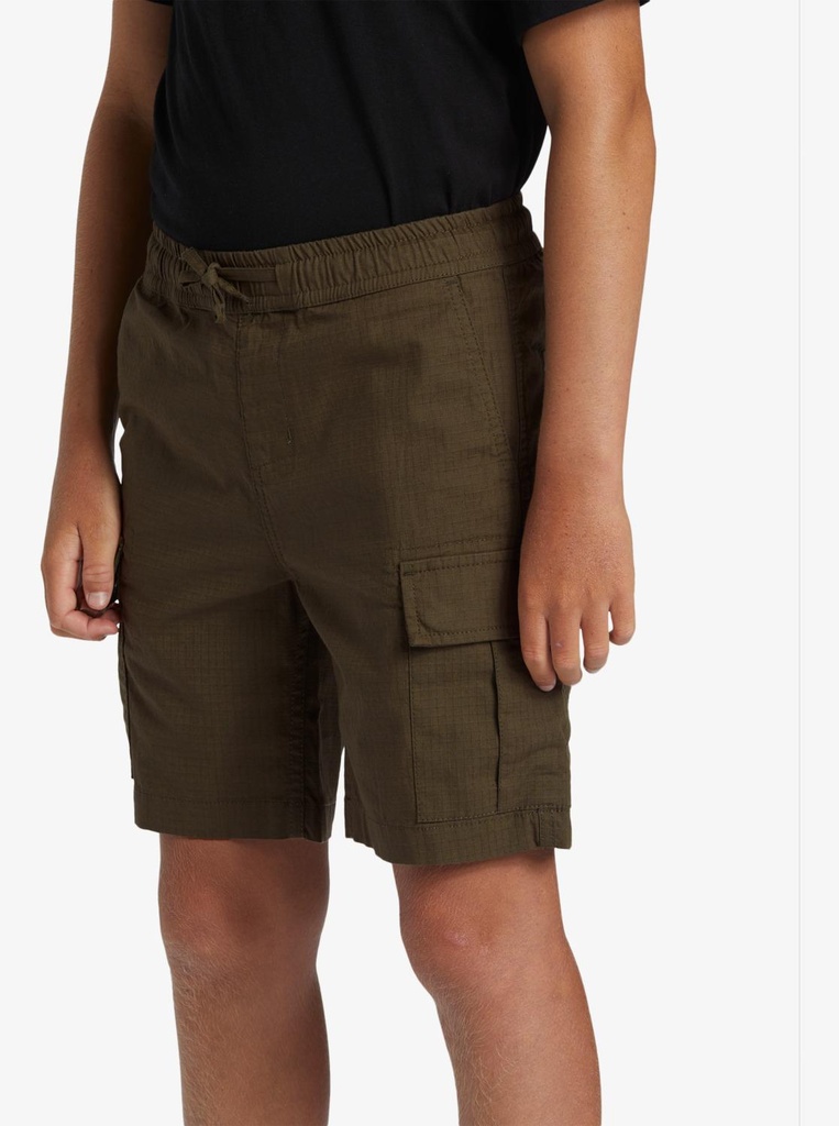 quiksilver-taxer-cargo-youth-brown-grape-leaf-xs-8-9-1