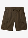 quiksilver-taxer-cargo-youth-brown-grape-leaf-xs-8-9-4