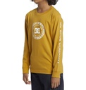 dc-shoes-dc-corpo-ls-boy-yellow-tinsel-14-l-1-4