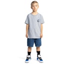 dc-shoes-workerbaggy-denimshort-rsi-boy-blue-stone-indigo-28-14-4