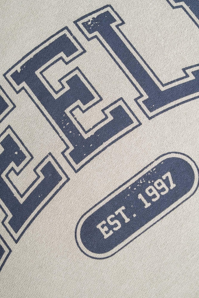 reell-team-hoodie-jasper-green-l-5