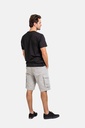 reell-new-cargo-short-taupe-30-1