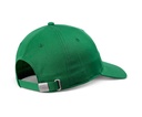 djinns-dad-cap-street-disco-green-osfm-1