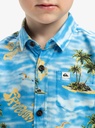 quiksilver-safe-paradise-ss-youth-blue-blue-naturama-32x32-l-14-2