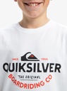 quiksilver-ev-typed-out-ss-yth-white-m-12-1