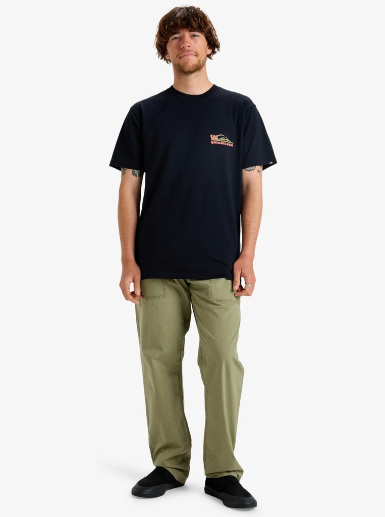 quiksilver-taxer-fatigue-pant-beige-aloe-xs-3