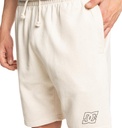 dc-shoes-pallet-short-grey-snow-heather-s-22-3