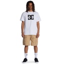 dc-shoes-tundra-cargo-short-brown-incense-s-8-0