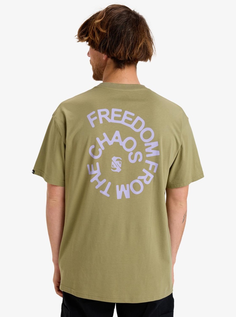 quiksilver-freedom-from-the-chaos-tee-ss-beige-aloe-s-2
