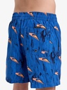 quiksilver-next-gen-volley-yth-14-blue-estate-blue-roots-s-10-2