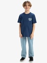 quiksilver-ev-share-the-stoke-ss-yth-blue-estate-blue-l-14-2