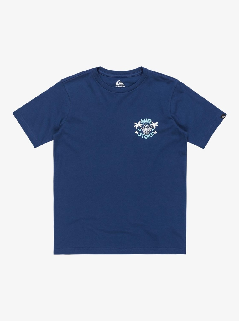 quiksilver-ev-share-the-stoke-ss-yth-blue-estate-blue-l-14-5