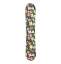 dc-shoes-aw-biddy-green-in-bloom-144-0