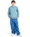 element-skateboard-co-po-y-blue-trellis-l-14-3