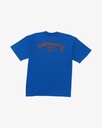 billabong-y2k-arch-og-ss-red-cobalt-s-6-0