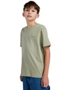 element-sbxe-animal-ss-y-green-tea-s-10-3