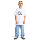dc-shoes-worker-baggy-carpenter-ril-boy-blue-indigo-light-28-14-10