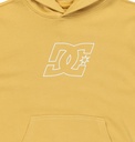 dc-shoes-pallet-ph-boy-yellow-rattan-14-l-2f-1