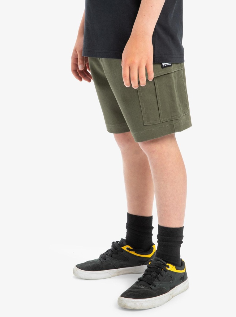 quiksilver-taxer-cargo-youth-brown-grape-leaf-l-14-3-0