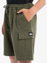 quiksilver-taxer-cargo-youth-brown-grape-leaf-l-14-3-1