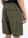 quiksilver-taxer-cargo-youth-brown-grape-leaf-l-14-3-2