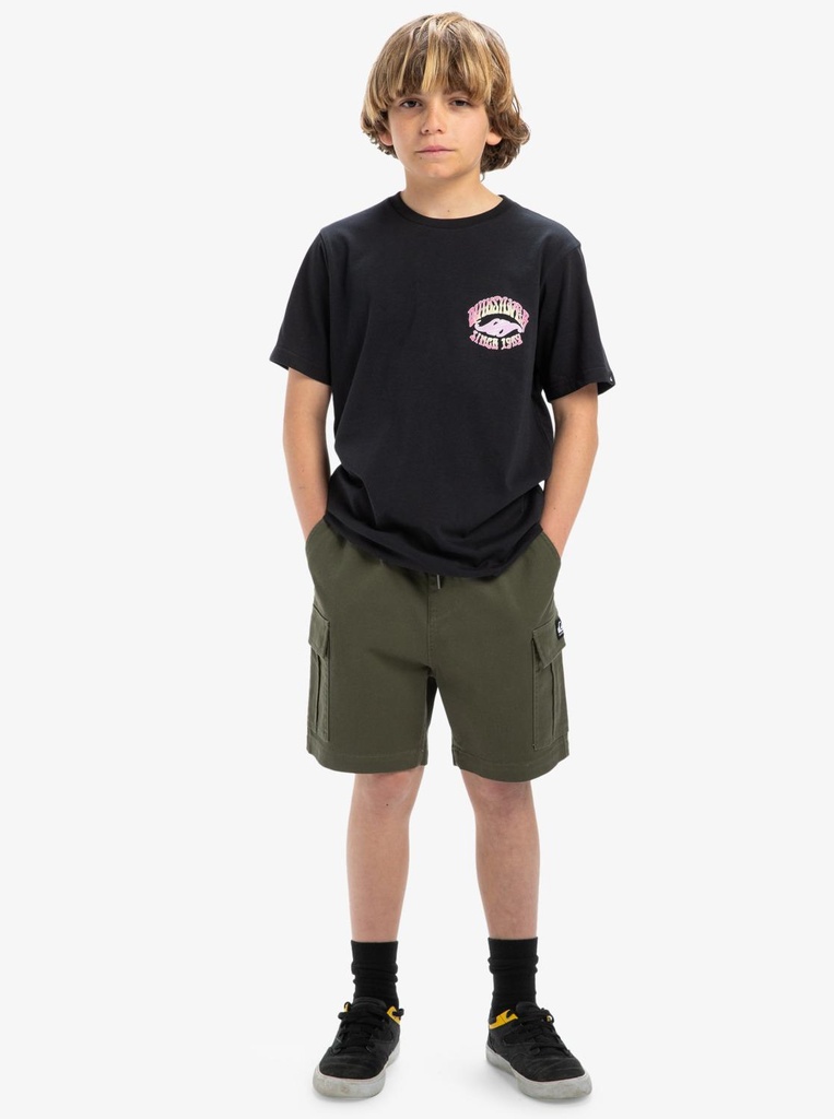 quiksilver-taxer-cargo-youth-brown-grape-leaf-l-14-3-3