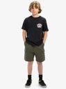 quiksilver-taxer-cargo-youth-brown-grape-leaf-l-14-3-3