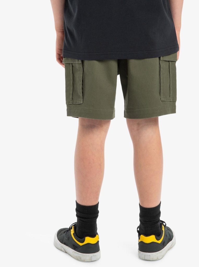 quiksilver-taxer-cargo-youth-brown-grape-leaf-l-14-3-4