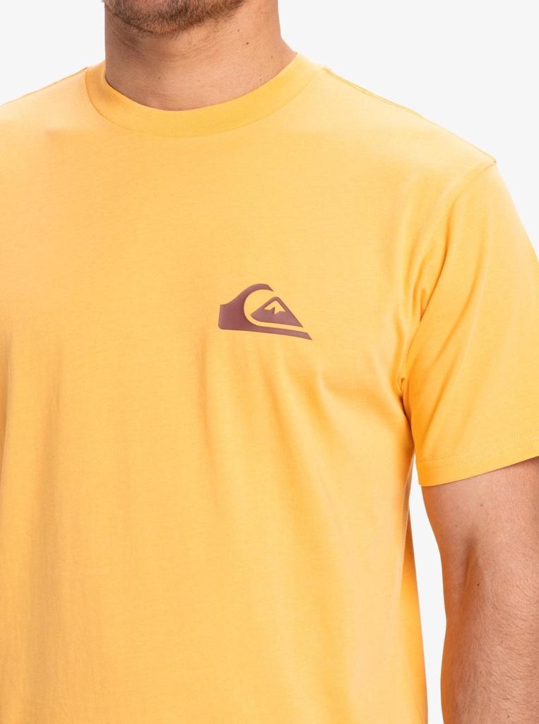 quiksilver-ev-mini-logo-ss-orange-chamois-l-1