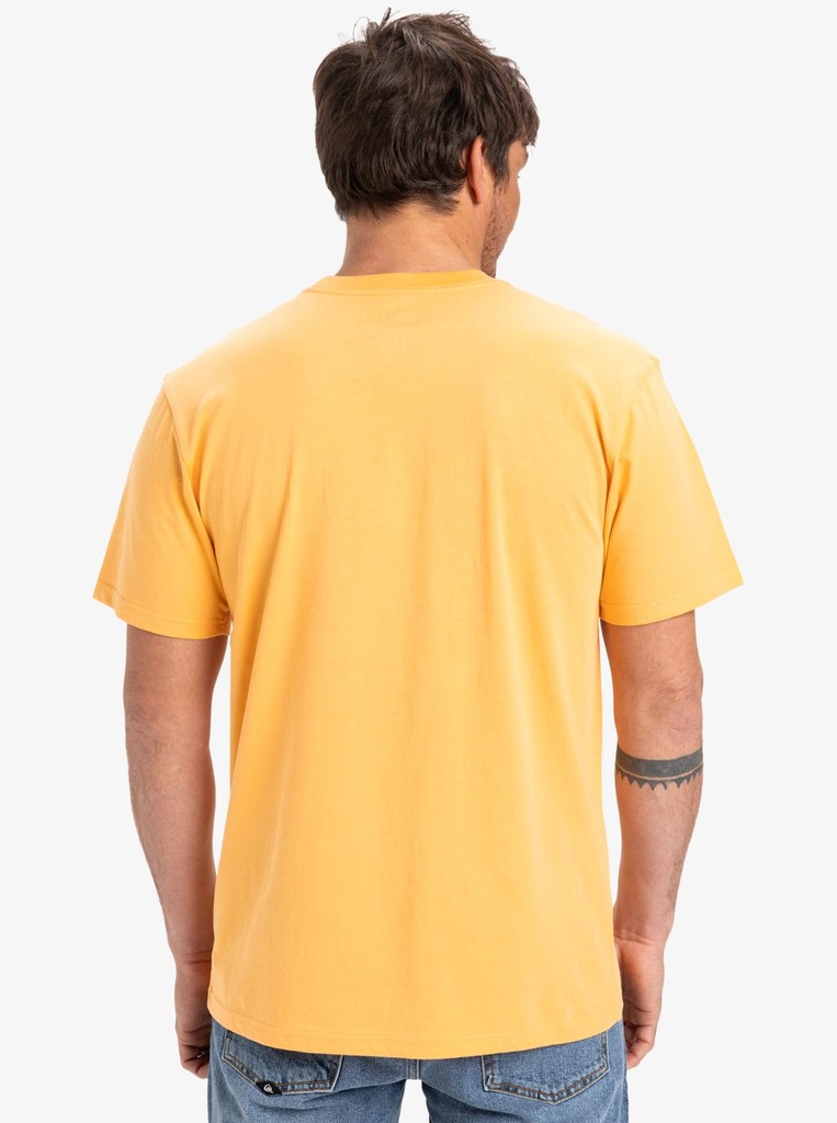 quiksilver-ev-mini-logo-ss-orange-chamois-l-2