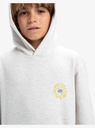 quiksilver-graphic-hoodie-youth-grey-white-marble-heather-xl-16-1