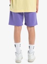 quiksilver-global-heat-short-youth-purple-dusted-peri-l-14-5