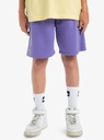 quiksilver-global-heat-short-youth-purple-dusted-peri-l-14-1