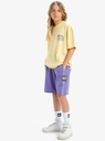 quiksilver-global-heat-short-youth-purple-dusted-peri-l-14-9