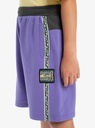 quiksilver-global-heat-short-youth-purple-dusted-peri-l-14-6