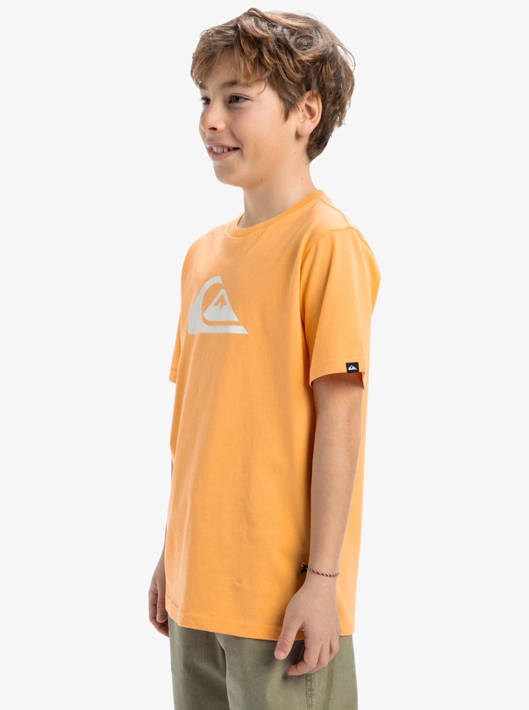 quiksilver-ev-comp-logo-ss-yth-orange-chamois-xl-16-8c-0