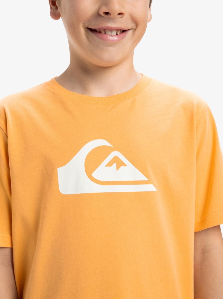 quiksilver-ev-comp-logo-ss-yth-orange-chamois-xl-16-8c-2