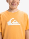 quiksilver-ev-comp-logo-ss-yth-orange-chamois-xl-16-8c-2