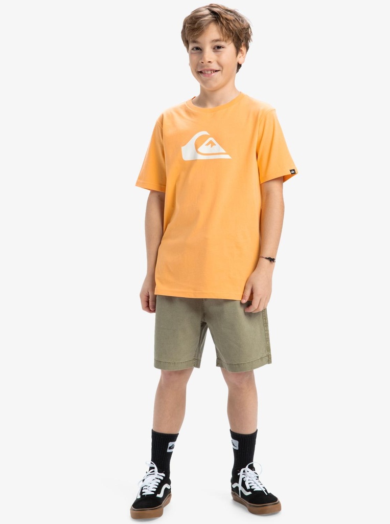 quiksilver-ev-comp-logo-ss-yth-orange-chamois-xl-16-8c-3