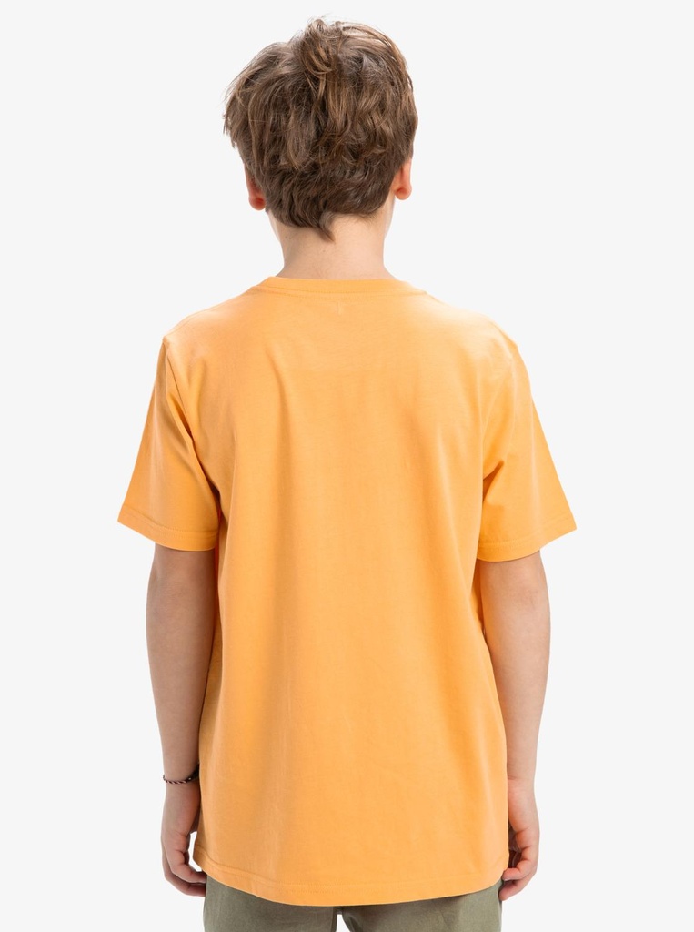 quiksilver-ev-comp-logo-ss-yth-orange-chamois-xl-16-8c-4