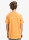 quiksilver-ev-comp-logo-ss-yth-orange-chamois-xl-16-8c-4