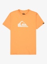 quiksilver-ev-comp-logo-ss-yth-orange-chamois-xl-16-8c-4
