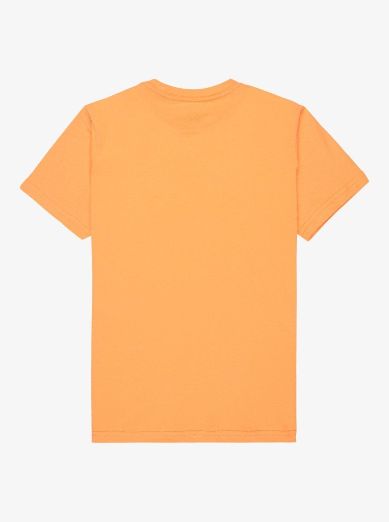 quiksilver-ev-comp-logo-ss-yth-orange-chamois-xl-16-8c-5