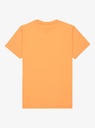 quiksilver-ev-comp-logo-ss-yth-orange-chamois-xl-16-8c-5