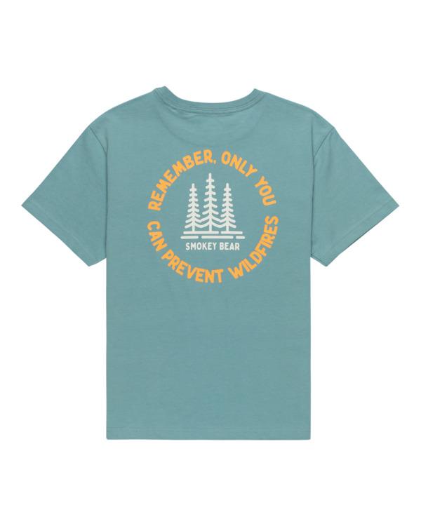 element-sbxe-remember-ss-y-blue-trellis-l-14-0