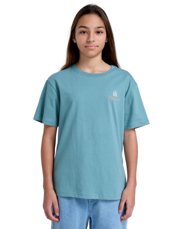 element-sbxe-remember-ss-y-blue-trellis-l-14-2
