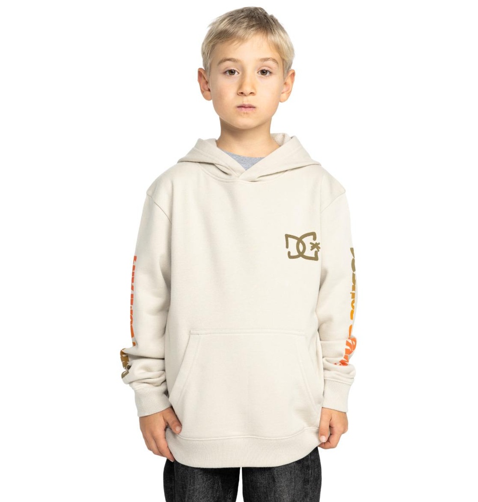 dc-shoes-hot-box-ph-boy-grey-pelican-12-m-1